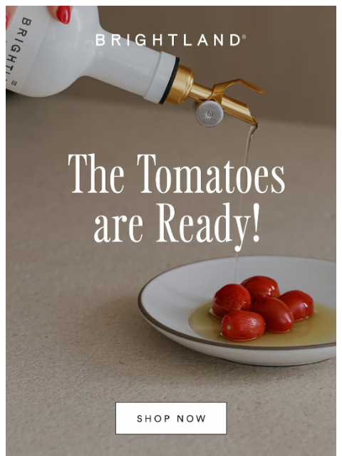 brightland newsletter: Perfect Pairings & Recipes for Peak Tomato Season