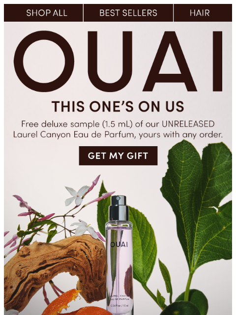 theouai newsletter: A gift for you, today only