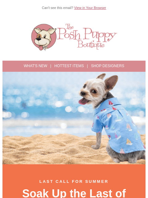 poshpuppyboutique newsletter: Soak Up the Last of Summer ☀️