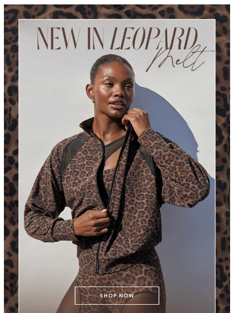 carbon38 newsletter: The latest in LEOPARD 🐆