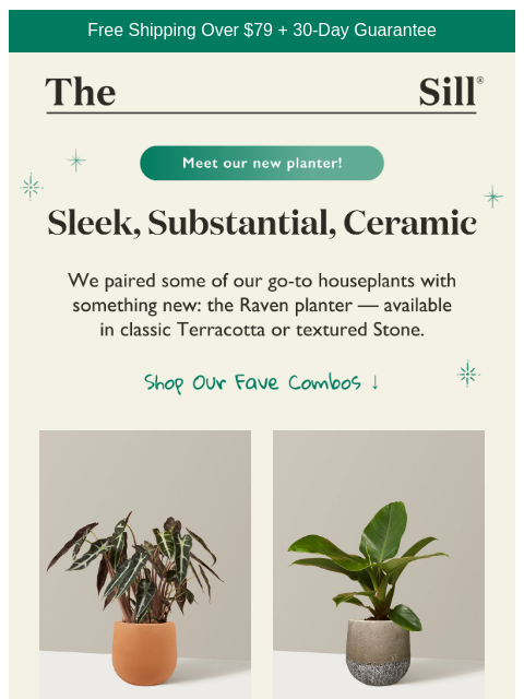 thesill newsletter: New Planter Just Dropped