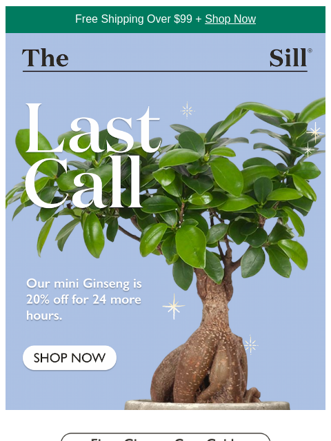 thesill newsletter: This is your 24-hour warning...