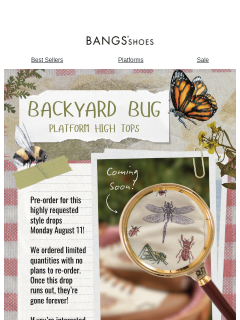 bangsshoes newsletter: Coming Soon... 🐞🐛🐝