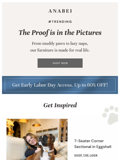 anabei newsletter: Pet-Tested 🐶 Human-Approved