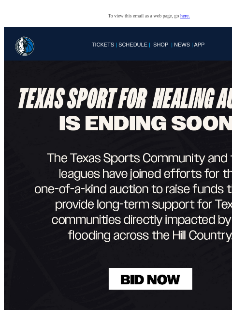 mavsmail newsletter: ENDING SOON! Texas Sport for Healing Auction