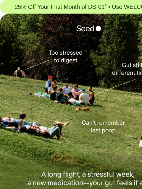 seed newsletter: Running on cortisol and coffee?