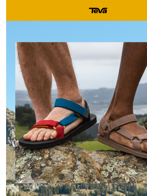 teva newsletter: For those not afraid to ask for directions…
