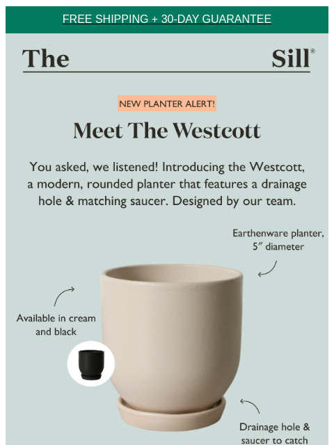 Meet The Westcott 🪴 ͏ ͏ ͏ ͏ ͏ ͏ ͏ ͏ ͏ ͏ ͏ ͏ ͏ ͏ ͏ ͏ ͏ ͏ ͏ ͏ ͏ ͏ ͏ ͏ ͏ ͏ ͏ ͏ ͏ ͏ ͏ ͏ ͏ ͏ ͏ ͏ ͏ ͏ ͏ ͏ ͏ ͏ ͏ ͏ ͏ ͏ ͏ ͏ ͏ ͏ ͏ ͏ ͏ ͏ ͏ ͏ ͏ ͏ ͏ ͏ ͏ ͏ ͏ ͏ ͏ ͏ ͏ ͏ ͏ ͏ ͏ ͏ ͏ ͏ ͏ ͏ ͏ ͏ ͏ ͏ ͏ ͏ ͏ ͏ ͏ ͏ ͏ ͏ ͏ ͏ ͏