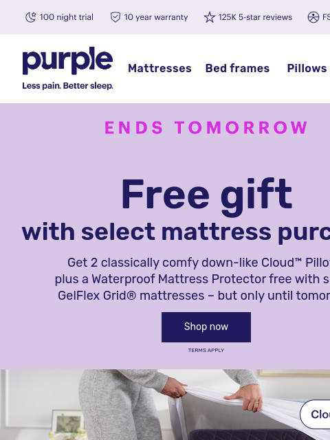 purple newsletter: Free pillows + a mattress protector