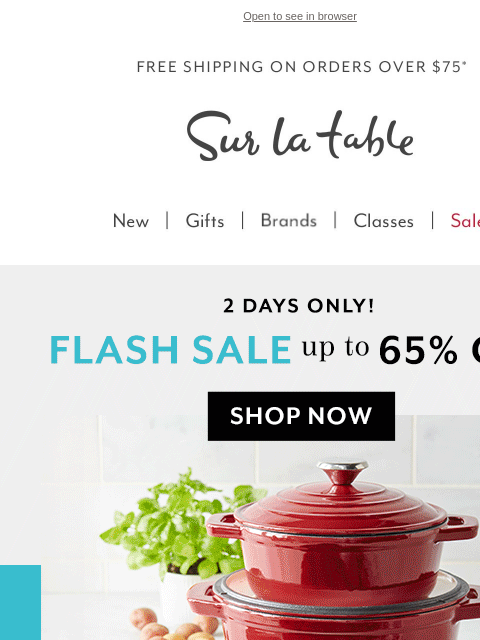 surlatable newsletter: FLASH SALE: Up to 65% OFF Top Brands