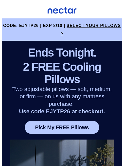 nectarsleep newsletter: Final Hours! Standard or King? Your choice. 👀