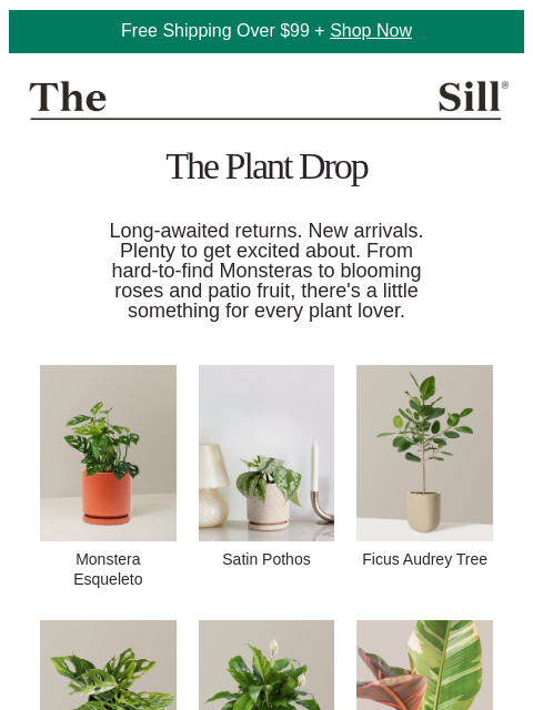 thesill newsletter: THE PLANT DROP