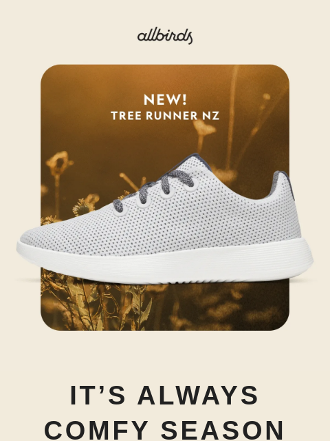 allbirds newsletter: Newest Shoes In Season-Right Hues