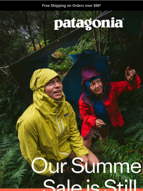 patagonia newsletter: Up to 40% off past-season styles