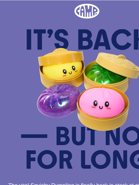 camp newsletter: Squishy Dumplings just restocked 🤩