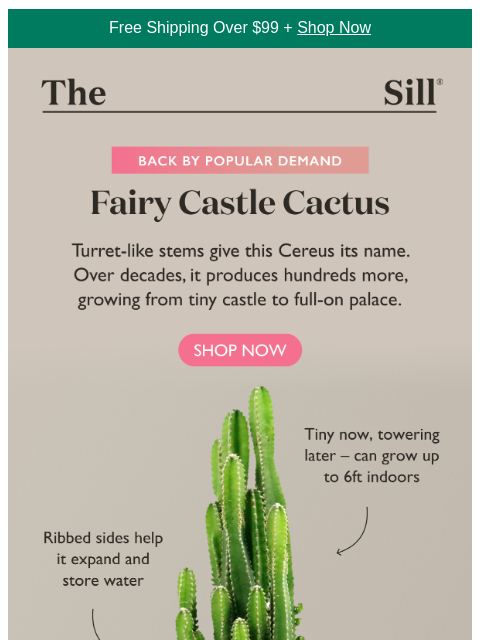 thesill newsletter: Finally, a castle you can actually afford