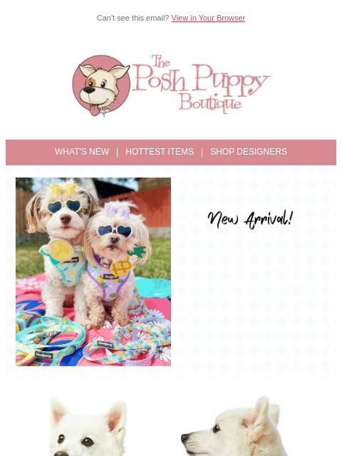 Shop the latest arrivals at Posh Puppy ͏ ͏ ͏ ͏ ͏ ͏ ͏ ͏ ͏ ͏ ͏ ͏ ͏ ͏ ͏ ͏ ͏ ͏ ͏ ͏ ͏ ͏ ͏ ͏ ͏ ͏ ͏ ͏ ͏ ͏ ͏ ͏ ͏ ͏ ͏ ͏ ͏ ͏ ͏ ͏ ͏ ͏ ͏ ͏ ͏ ͏ ͏ ͏ ͏ ͏ ͏ ͏ ͏ ͏ ͏ ͏ ͏ ͏ ͏ ͏ ͏ ͏ ͏ ͏ ͏ ͏ ͏ ͏ ͏ ͏ ͏ ͏ ͏ ͏ ͏ ͏ ͏ ͏ ͏ ͏ ͏