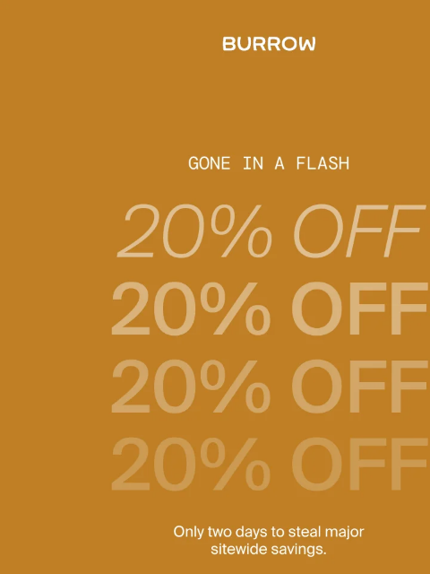 burrow newsletter: FLASH SALE ⚡️ 48 Hours to Save 20%