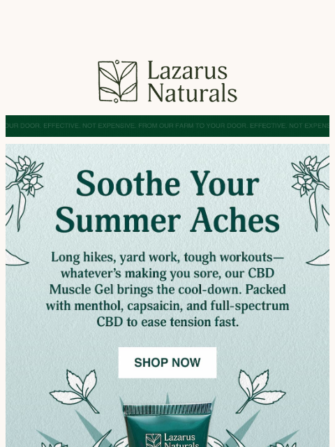 lazarusnaturals newsletter: Summer soreness meets its match 💪