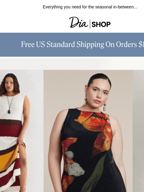dia newsletter: The Pre-Fall Edit is HERE 🤎