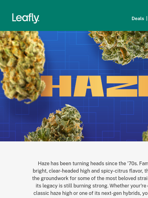 leafly newsletter: This sativa has been turning heads since the '60s ...