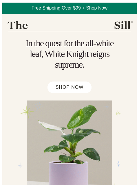 thesill newsletter: The elusive all-white leaf