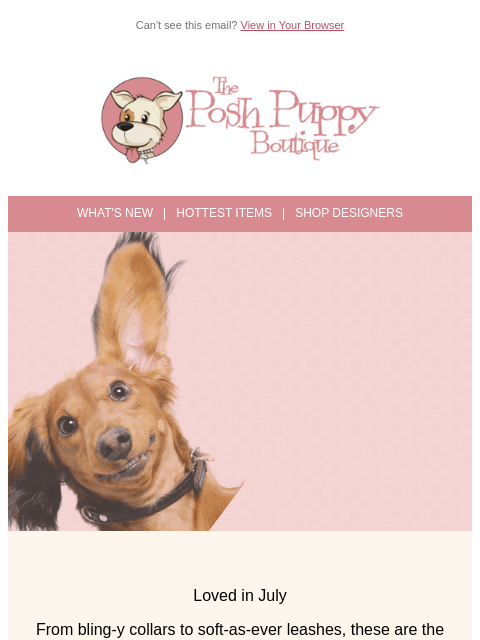 poshpuppyboutique newsletter: 💛 Loved in July: What Pet Parents Are Raving Abou...