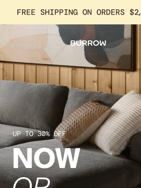 burrow newsletter: IT’S NOW OR NEVER ‼️