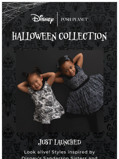 poshpeanut newsletter: 🖤🐈‍⬛ Vanishing Fast: Disney Halloween