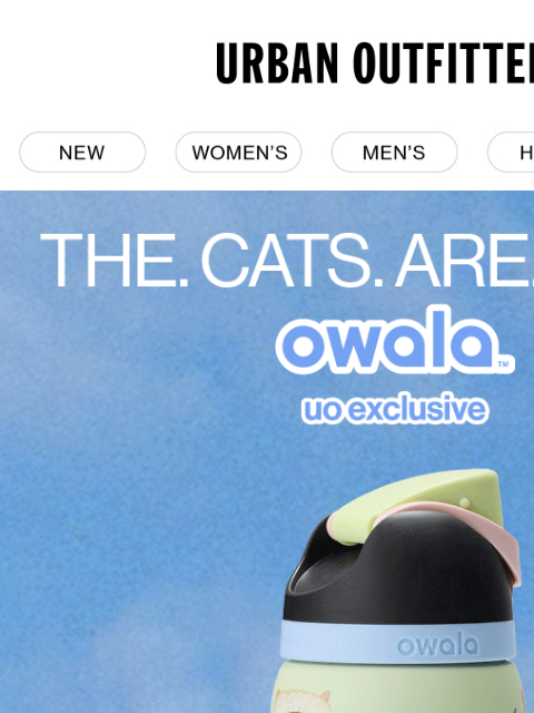 urbanoutfitters newsletter: purr your request: Cat Owala is BACK 🐱
