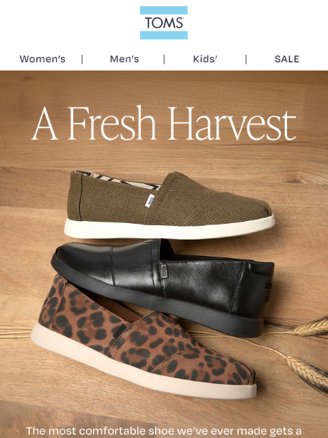 toms newsletter: Fresh Colors for Fall