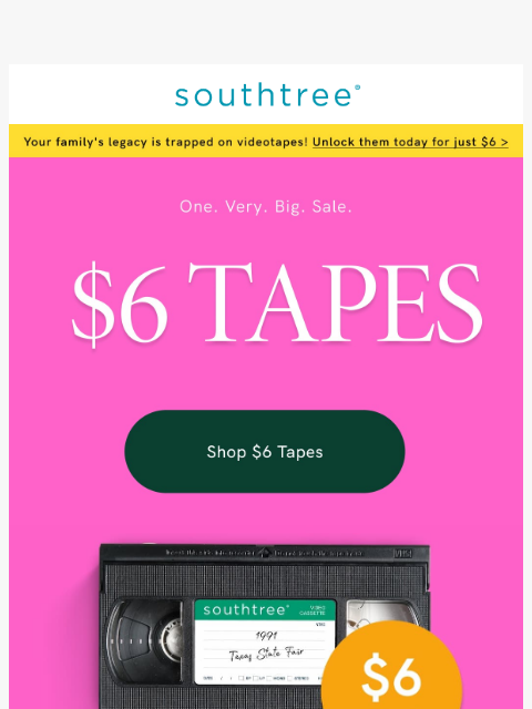 southtree newsletter: What's only $6? 👀