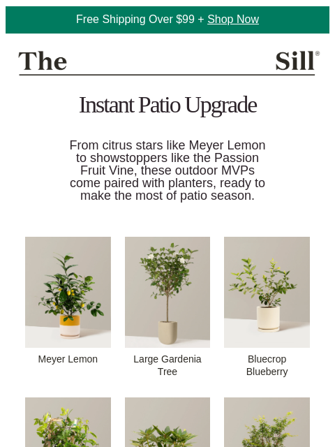 thesill newsletter: The easiest patio upgrade?