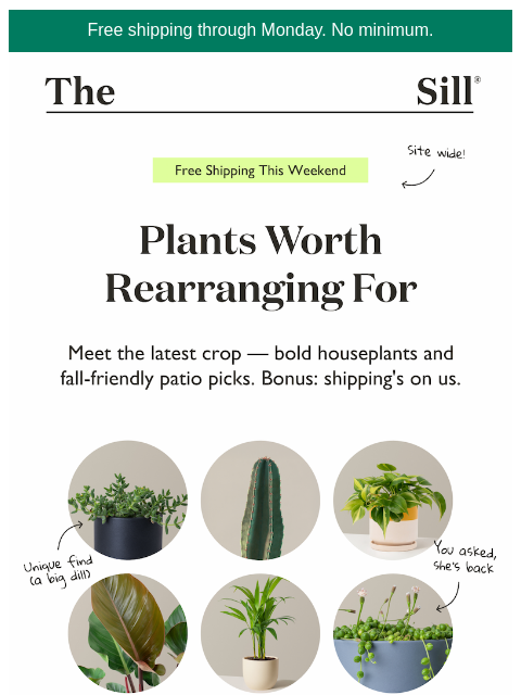 thesill newsletter: ⚡ Free Shipping, All Weekend ⚡