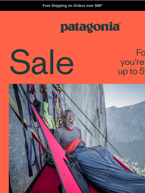 patagonia newsletter: Summer sale up to 50% off