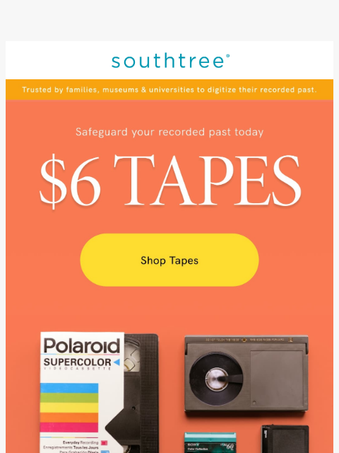 southtree newsletter: This knockout deal ends soon...
