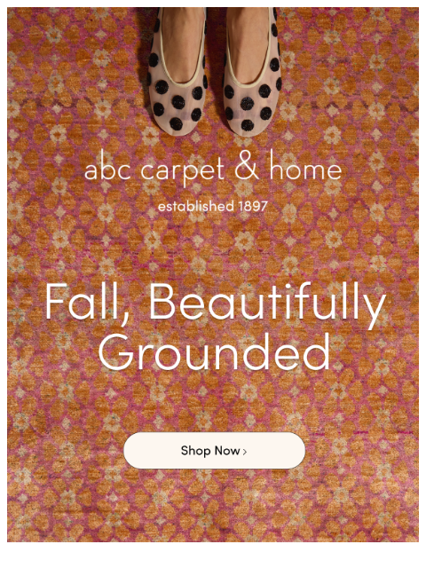 abchome newsletter: Fall, Beautifully Grounded