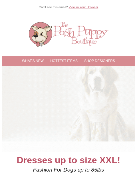 Shop the latest arrivals at Posh Puppy ͏ ͏ ͏ ͏ ͏ ͏ ͏ ͏ ͏ ͏ ͏ ͏ ͏ ͏ ͏ ͏ ͏ ͏ ͏ ͏ ͏ ͏ ͏ ͏ ͏ ͏ ͏ ͏ ͏ ͏ ͏ ͏ ͏ ͏ ͏ ͏ ͏ ͏ ͏ ͏ ͏ ͏ ͏ ͏ ͏ ͏ ͏ ͏ ͏ ͏ ͏ ͏ ͏ ͏ ͏ ͏ ͏ ͏ ͏ ͏ ͏ ͏ ͏ ͏ ͏ ͏ ͏ ͏ ͏ ͏ ͏ ͏ ͏ ͏ ͏ ͏ ͏ ͏ ͏ ͏ ͏