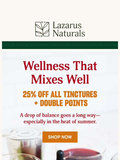 lazarusnaturals newsletter: 🍹 Don't Forget to Sip on This Sale!