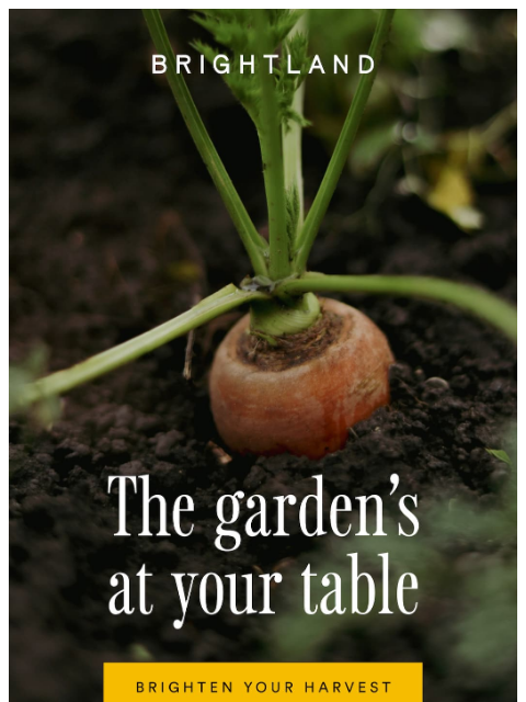 brightland newsletter: From Garden to Table