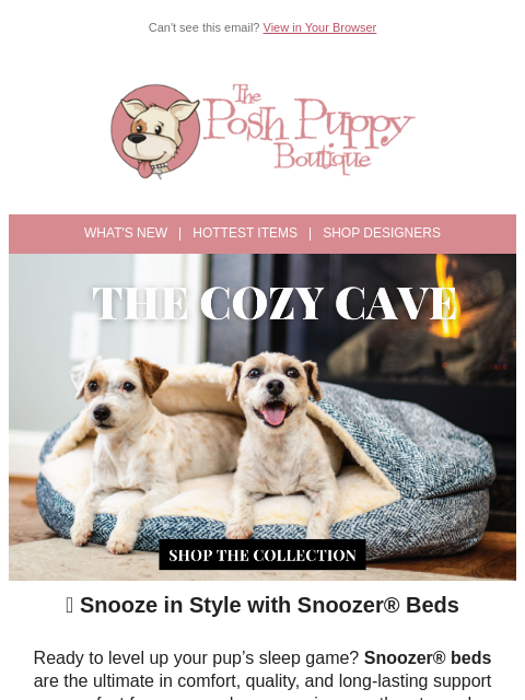 poshpuppyboutique newsletter: 💤 Meet the Bed Your Dog’s Been Dreaming Of