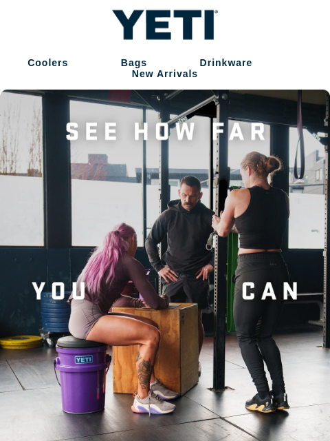 yeti newsletter: The Pace Purple Collection