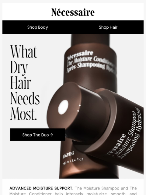 necessaire newsletter: Dry, Heat-Styled, or Color-Treated Hair?