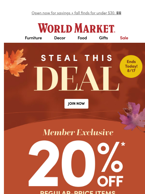emailworldmarket newsletter: ✨ LAST CHANCE to save 20%  ✨
