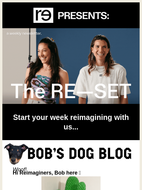 re-website newsletter: Bob's Dog Blog: A Few of Bob's favorite things