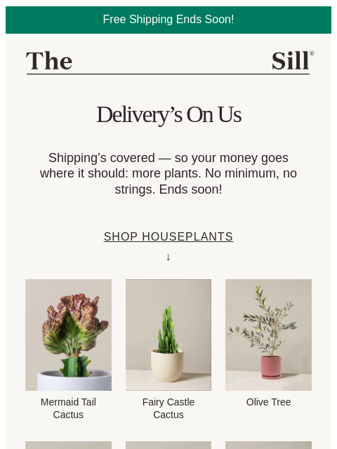 thesill newsletter: 🙌  Free Shipping Tonight!