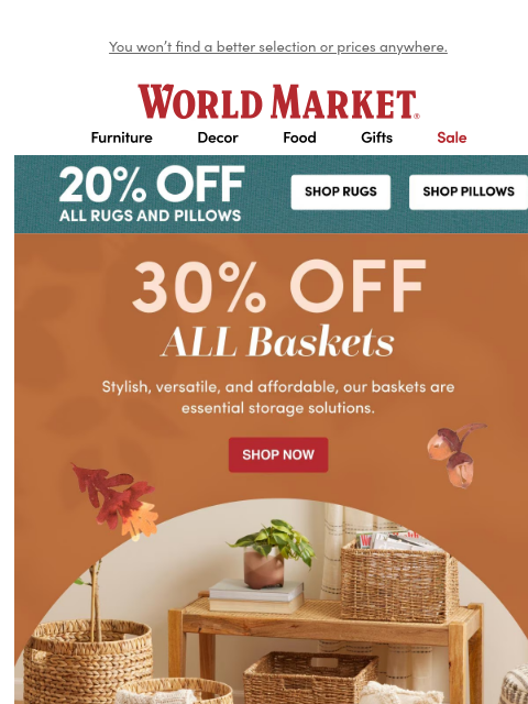 emailworldmarket newsletter: ✨30% off Baskets! ✨