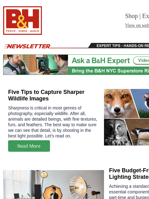 bhphotovideo newsletter: Sharper Wildlife Images, Budget-Friendly Lighting,...