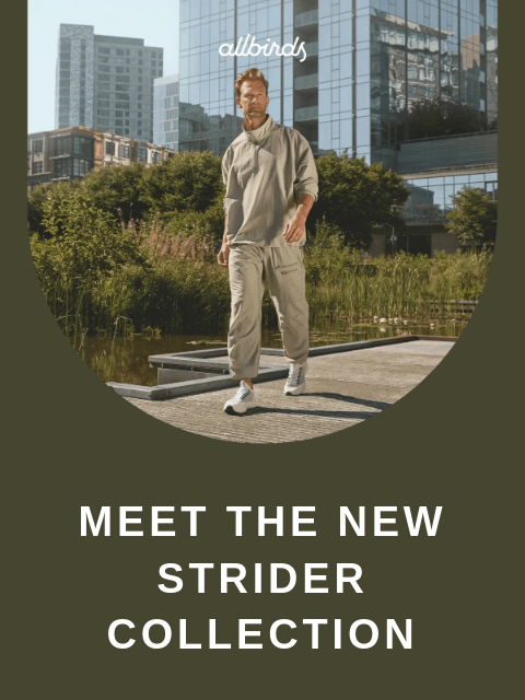 allbirds newsletter: This New Shoe is Athleisure, Elevated.