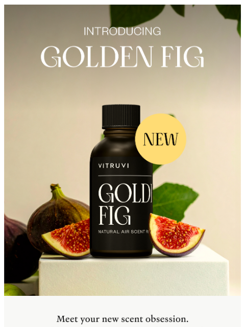 vitruvi newsletter: NEW! Golden Fig For Golden Hour 💛